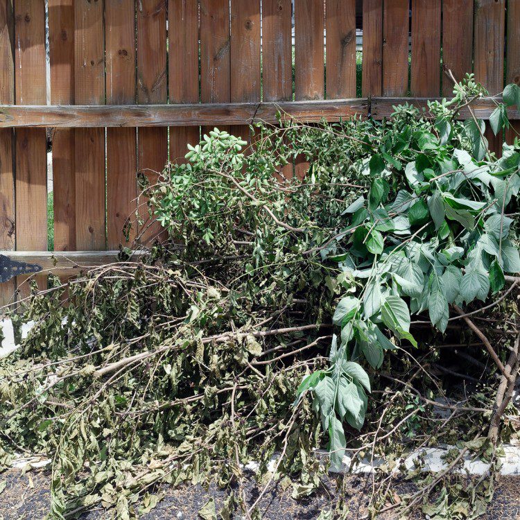 Junk Removal in Sacramento CA